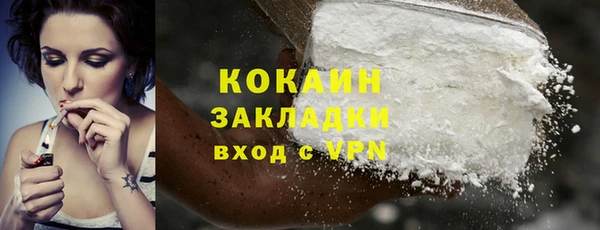 шишки Дмитровск