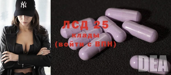 шишки Дмитровск