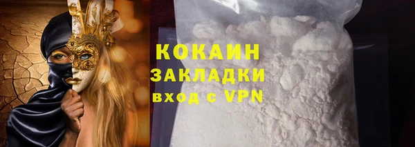шишки Дмитровск