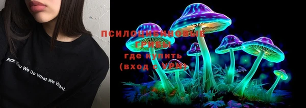ешки Дмитриев