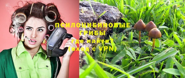 ешки Дмитриев
