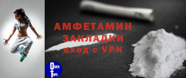 шишки Дмитровск