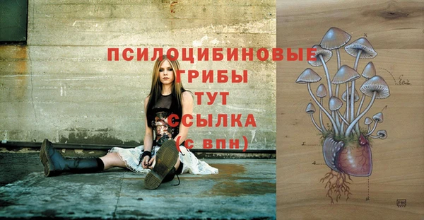 ешки Дмитриев