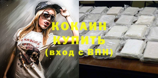 ешки Дмитриев