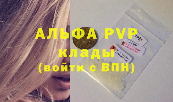 шишки Дмитровск
