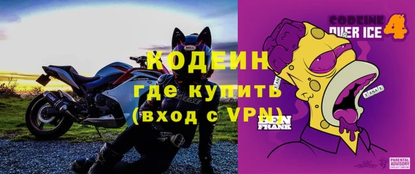 шишки Дмитровск